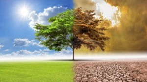 Ambiente-cambiamenti-climatici
